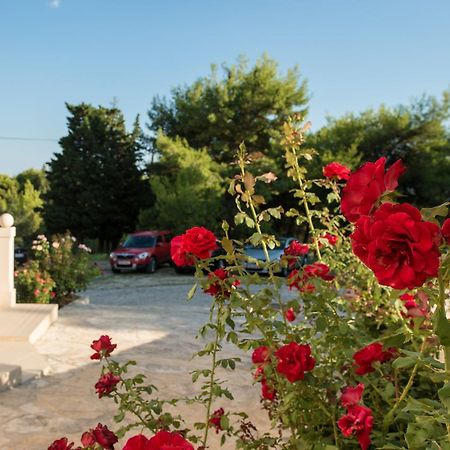 Sun House Apartments Бол Екстер'єр фото